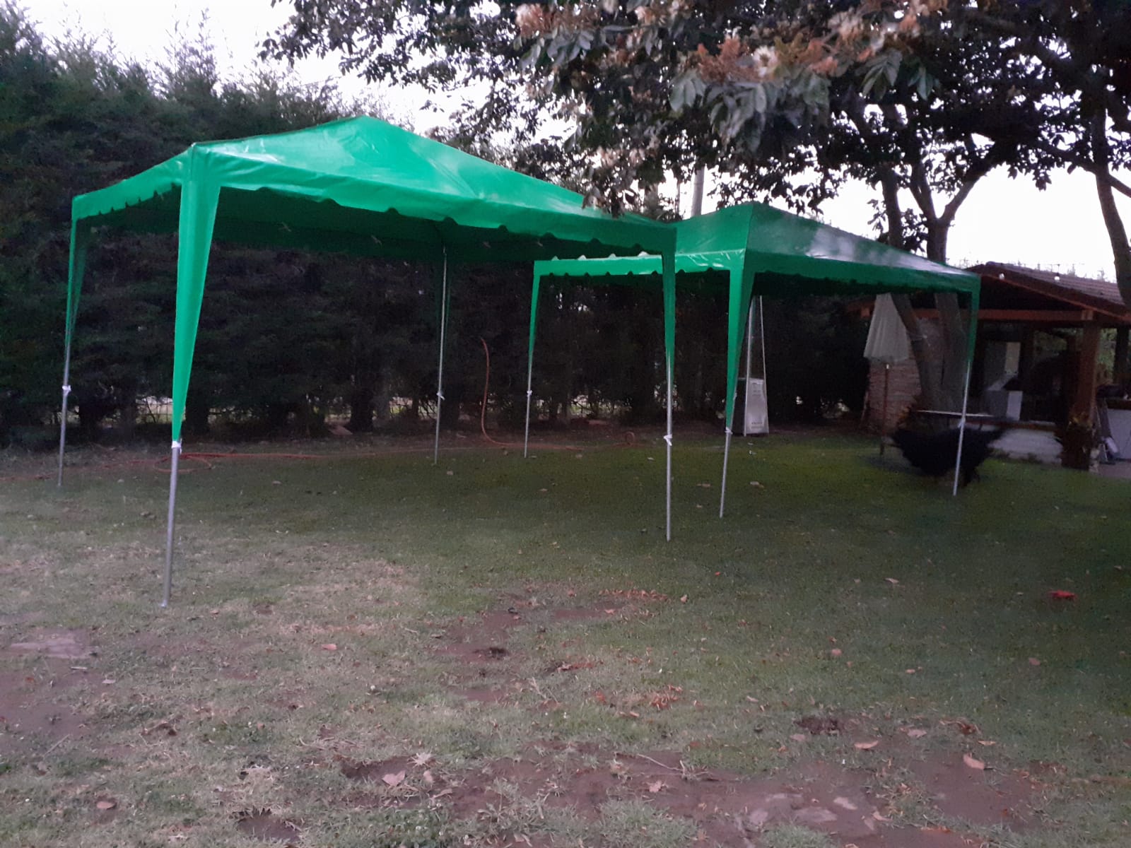 Carpas Planas